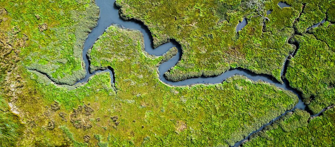 An aerial view of coastal wetlands.