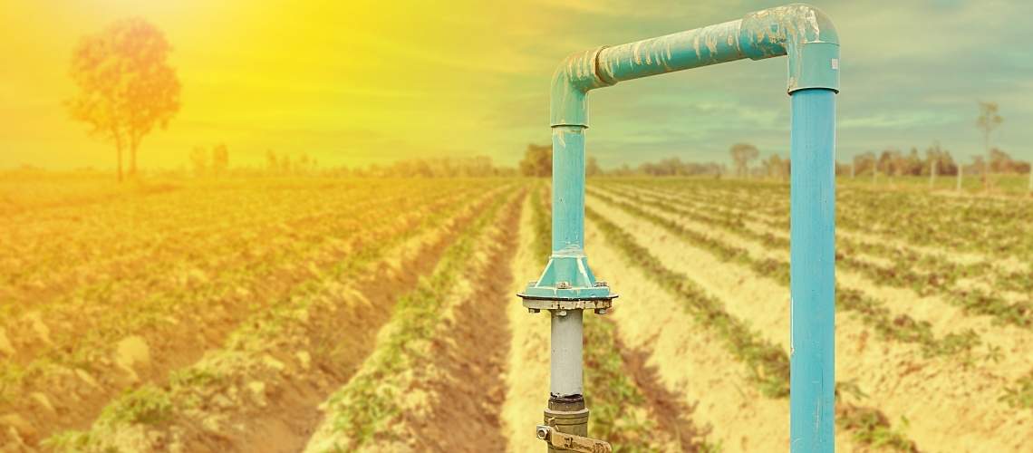 PVC pipes in a field for a groundwater well.