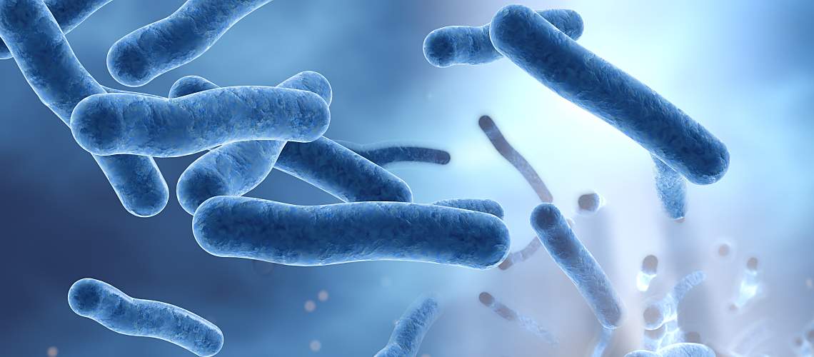 3D illustration showing Legionella bacteria in water.