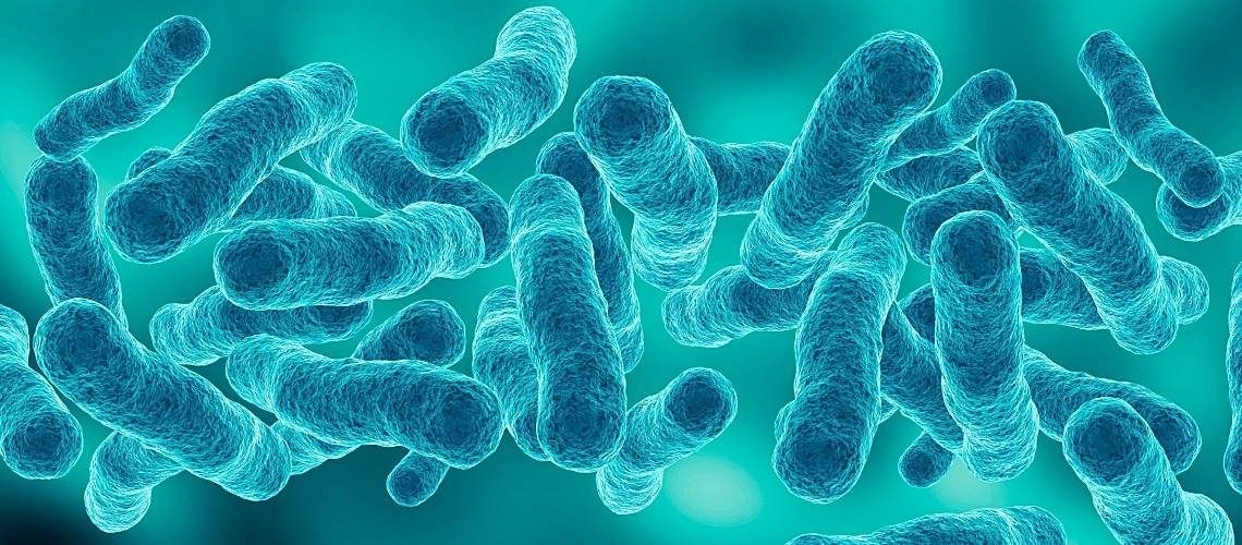 Liquid Culture Test for Legionella pneumophila Helps a Portuguese Lab