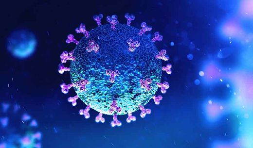 Illustration of the coronavirus.