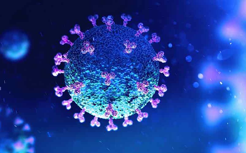 Illustration of the coronavirus.
