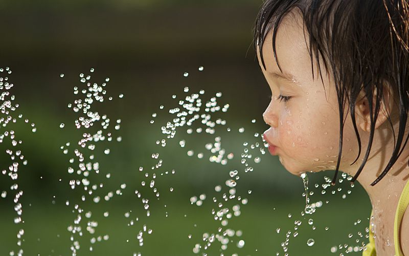 Young toddler drinking from a water sprinkler in her backyard.