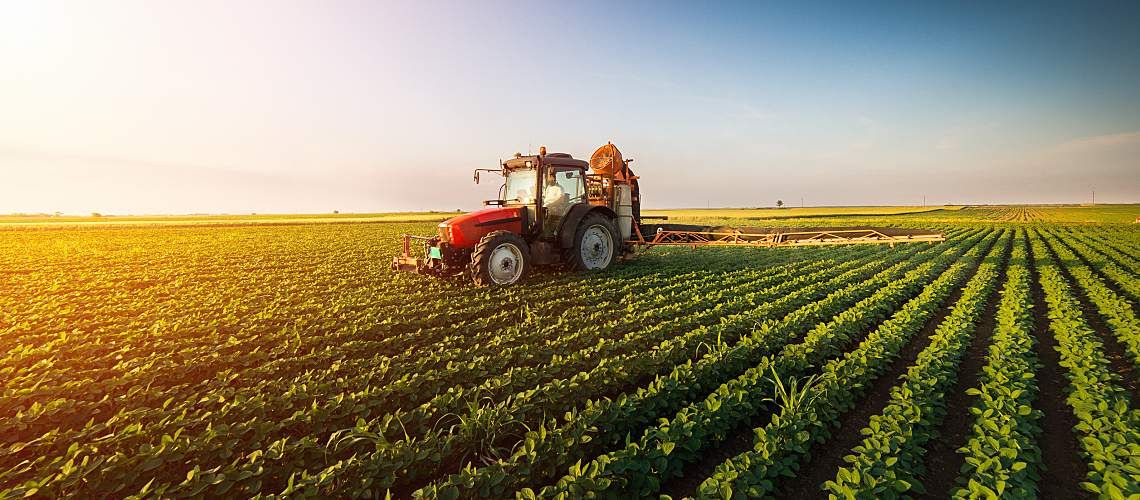 A tractor spraying a soybean field with chemicals.