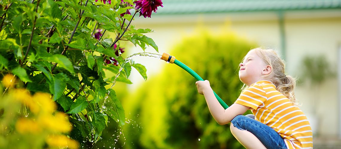 Little blond girl in backyard watering a bush.