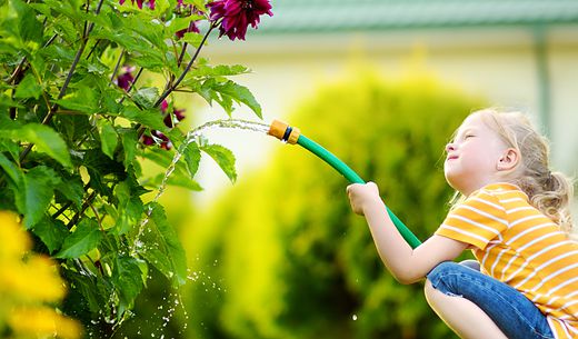 Little blond girl in backyard watering a bush.