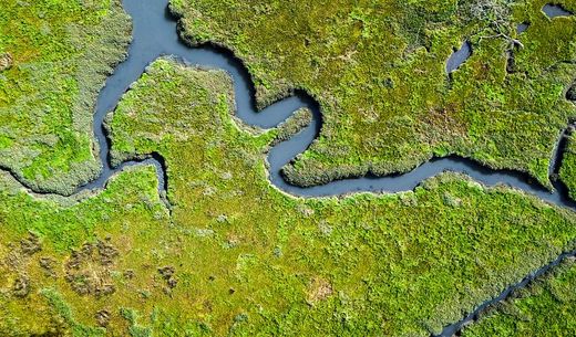 An aerial view of coastal wetlands.
