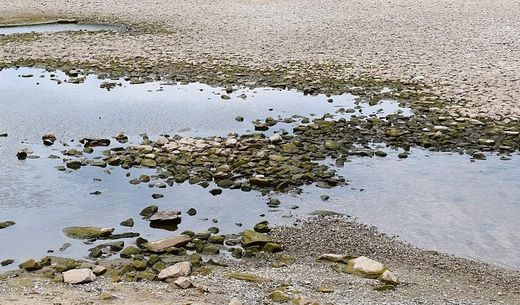 Groundwater on beach.