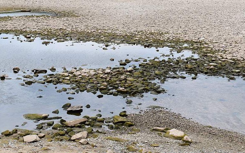 Groundwater on beach.