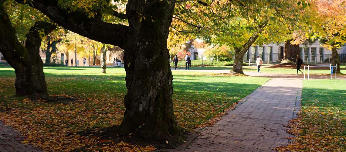 Fall on a university campus.