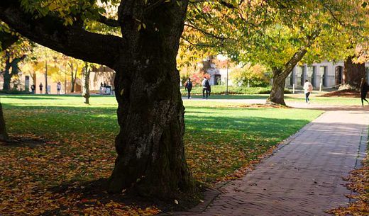 Fall on a university campus.