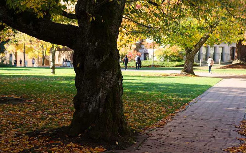 Fall on a university campus.