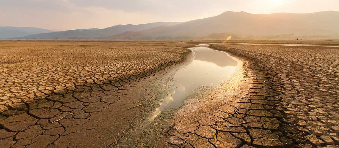 A dry riverbed in the desert