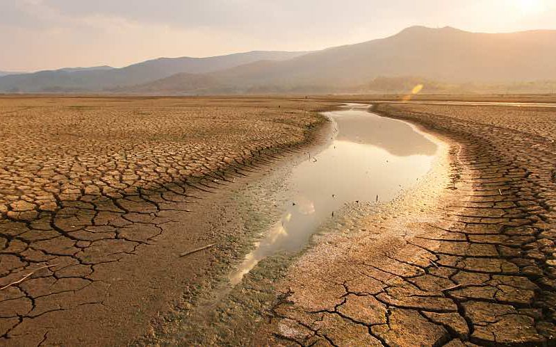 A dry riverbed in the desert