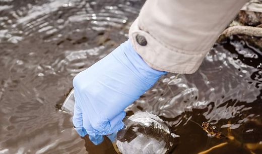 A hand in glove collects a water sample to test for cholera.