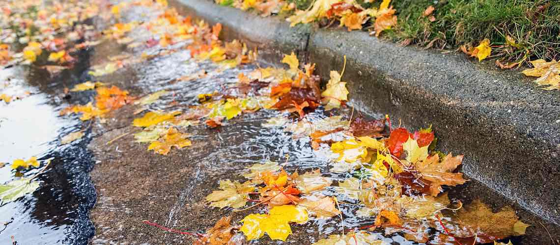 Colorful fall leaves fill stormwater drains at a curb in a street.