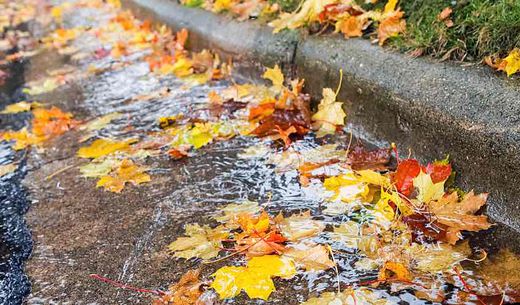 Colorful fall leaves fill stormwater drains at a curb in a street.