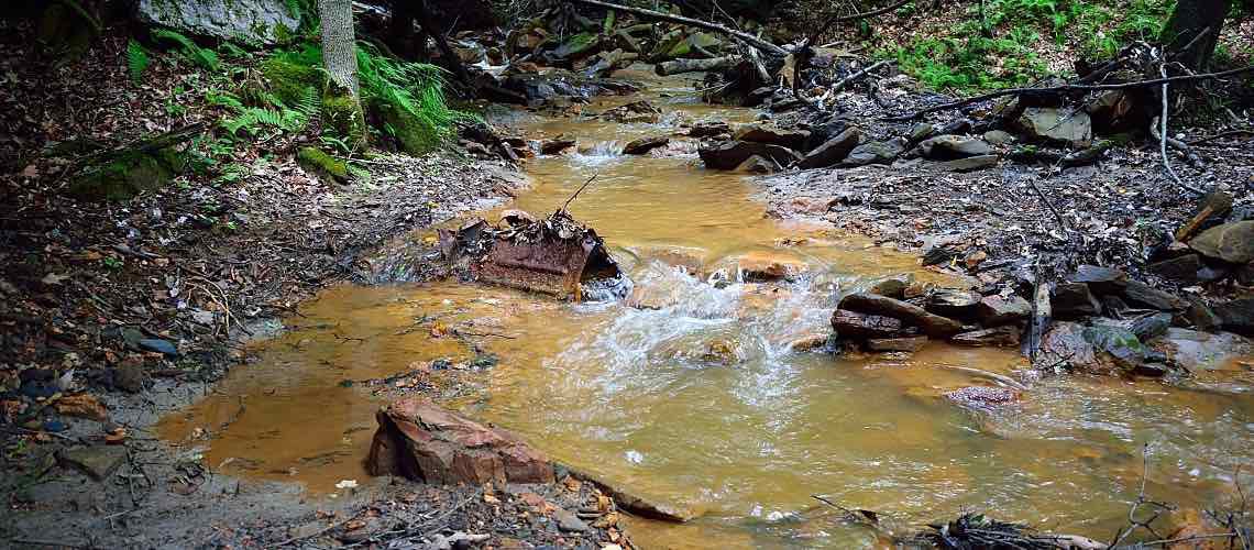 A polluted stream in the woods