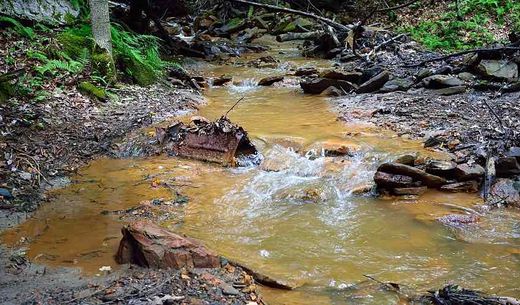 A polluted stream in the woods