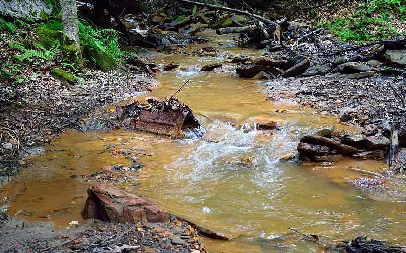 A polluted stream in the woods