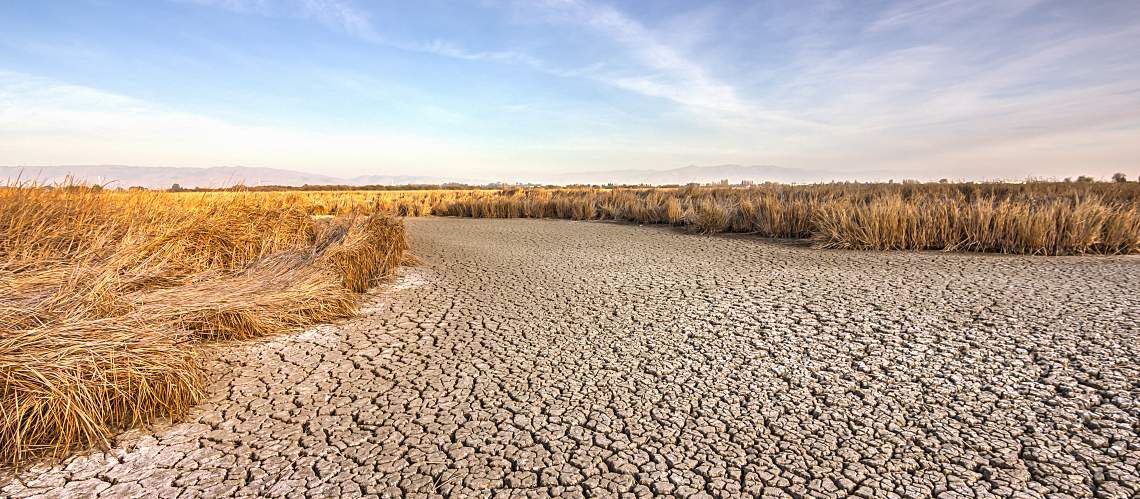 Cracked dry ground near Fremont, California.