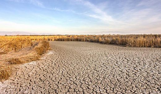 Cracked dry ground near Fremont, California.