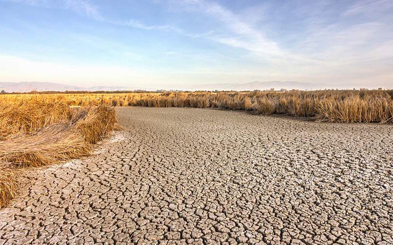 Cracked dry ground near Fremont, California.