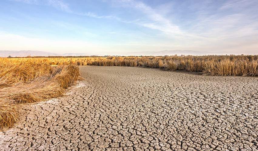 Cracked dry ground near Fremont, California.