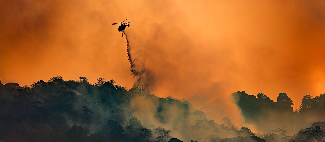 Wildfire Impact on Water Quality Challenges Los Angeles Utilities ...