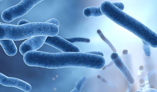 3D illustration showing Legionella bacteria in water.