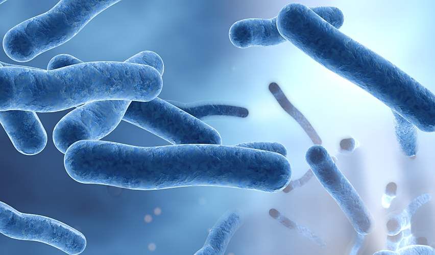 3D illustration showing Legionella bacteria in water.