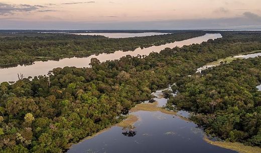 Aerial view of a river.