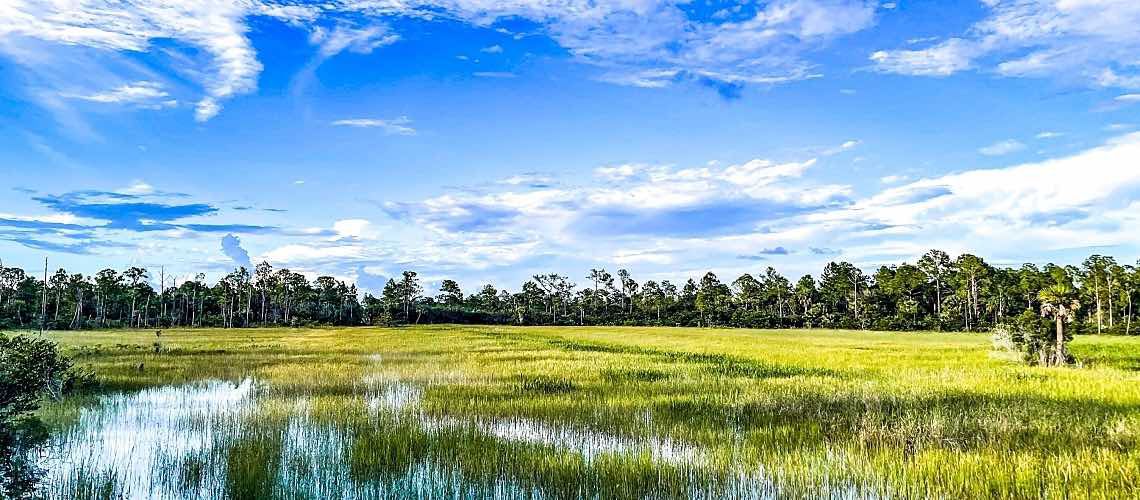 Water stands in grasses at the front of a marsh