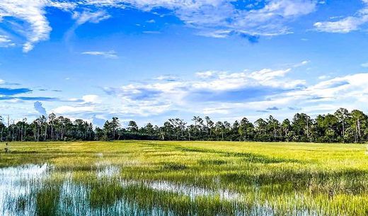 Water stands in grasses at the front of a marsh