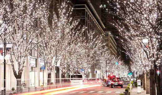 City street with lit trees during the holidays.