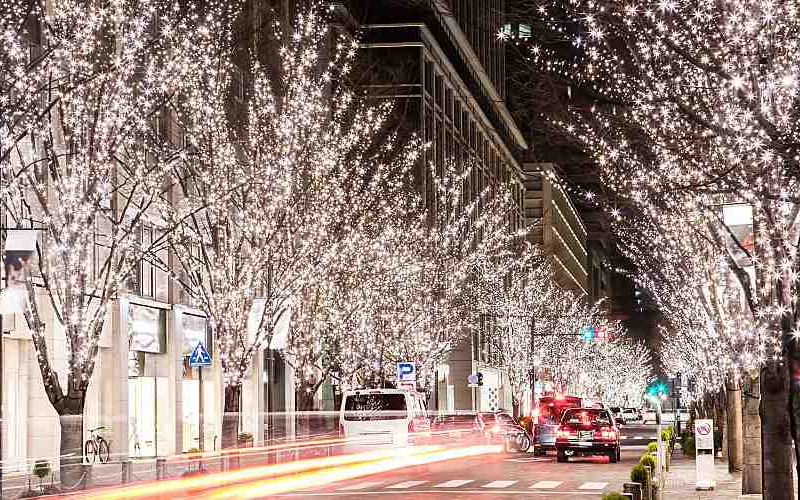 City street with lit trees during the holidays.