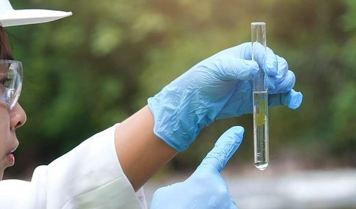 An environmentalist collects river water quality samples.