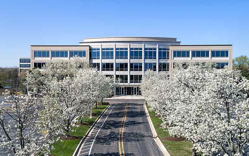 Building entrance with spring flowers.